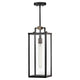 Catalina Medium Hanging Lantern