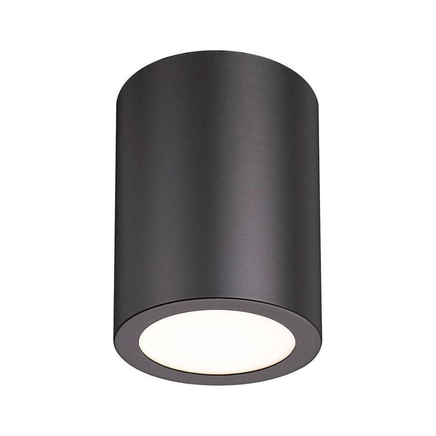 Harley 1-Light Flush Mount