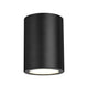 Harley 1-Light Flush Mount