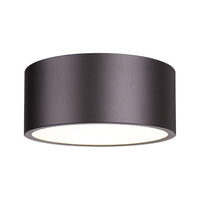 Harley 2-Light Flush Mount