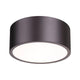 Harley 2-Light Flush Mount