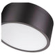 Harley 2-Light Flush Mount