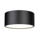 Harley 2-Light Flush Mount