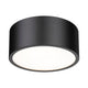 Harley 2-Light Flush Mount