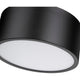 Harley 2-Light Flush Mount