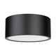 Harley 2-Light Flush Mount