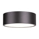 Harley 3-Light Flush Mount