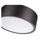 Harley 3-Light Flush Mount