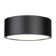 Harley 3-Light Flush Mount