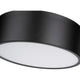Harley 3-Light Flush Mount