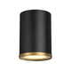 Arlo 1-Light Flush Mount