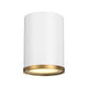 Arlo 1-Light Flush Mount