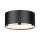 Arlo 2-Light Flush Mount