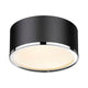 Arlo 2-Light Flush Mount