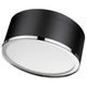 Arlo 2-Light Flush Mount