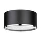 Arlo 2-Light Flush Mount
