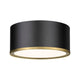 Arlo 2-Light Flush Mount