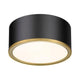 Arlo 2-Light Flush Mount