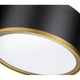 Arlo 2-Light Flush Mount