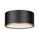 Arlo 2-Light Flush Mount