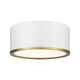 Arlo 2-Light Flush Mount