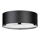 Arlo 3-Light Flush Mount