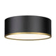 Arlo 3-Light Flush Mount