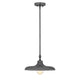 Camden 1-Light Pendant