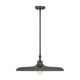 Camden 1-Light Pendant