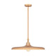 Camden 1-Light Pendant