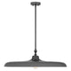 Camden 1-Light Pendant