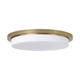Dominic 1-Light Flush Mount