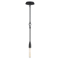 Pioneer 1-Light Pendant