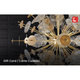 Lights Canada Digital Gift Card