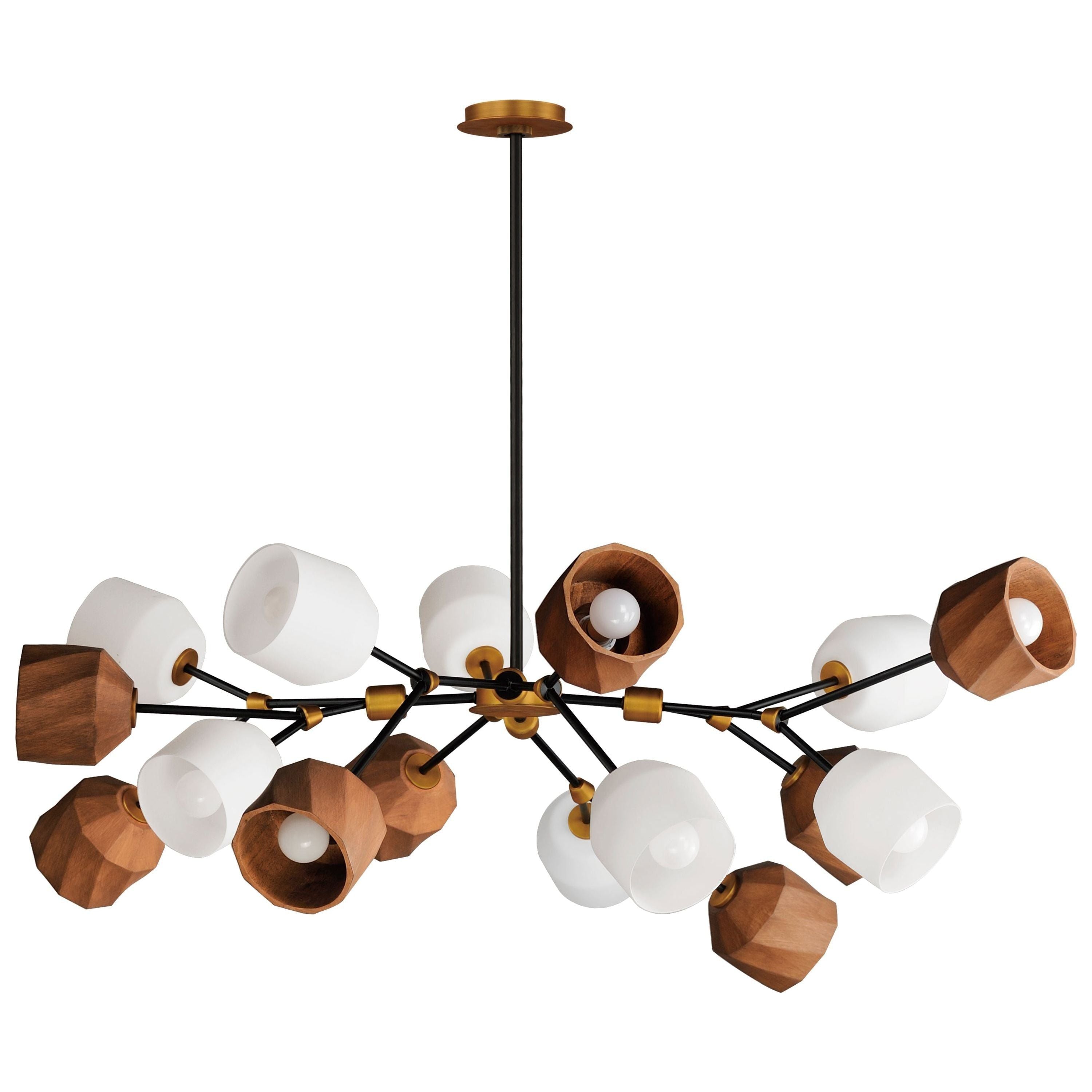 Akimbo 16-Light Pendant with LED Bulbs