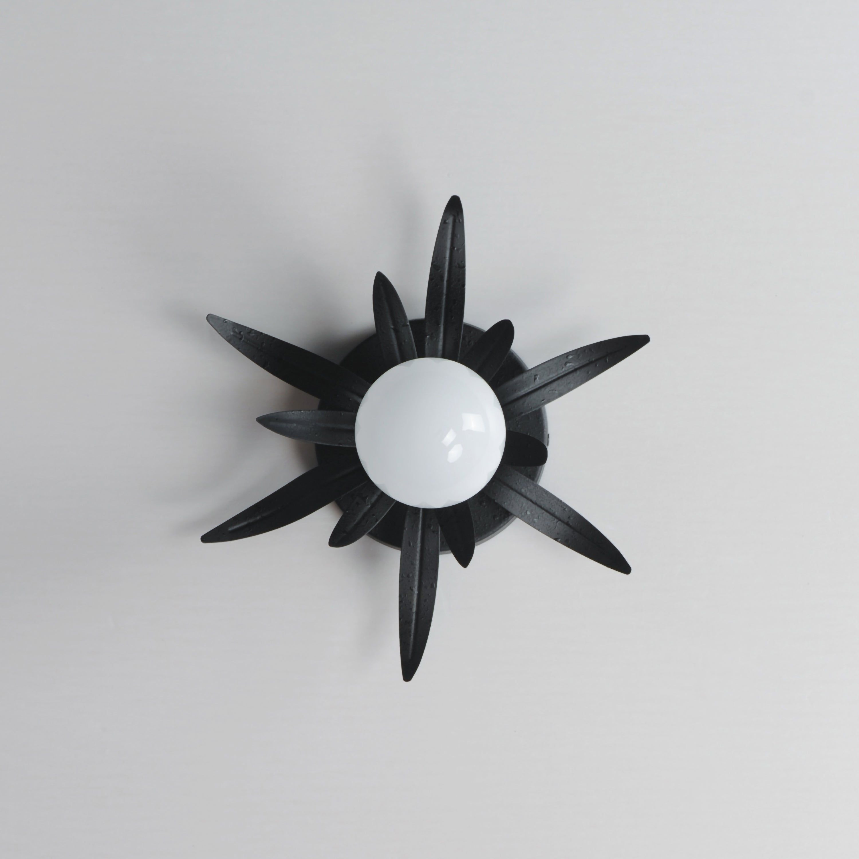 Paloma 1-Light Sconce