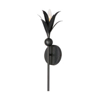 Paloma 1-Light Sconce