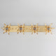 Paloma 4-Light Sconce