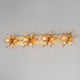 Paloma 4-Light Sconce