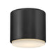 Cedric Extra Small Flush Mount