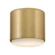 Cedric Extra Small Flush Mount