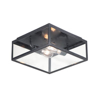 Catalina 2-Light Outdoor Ceiling Mount