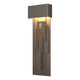 Collage Large Dark Sky LED Outdoor Sconce