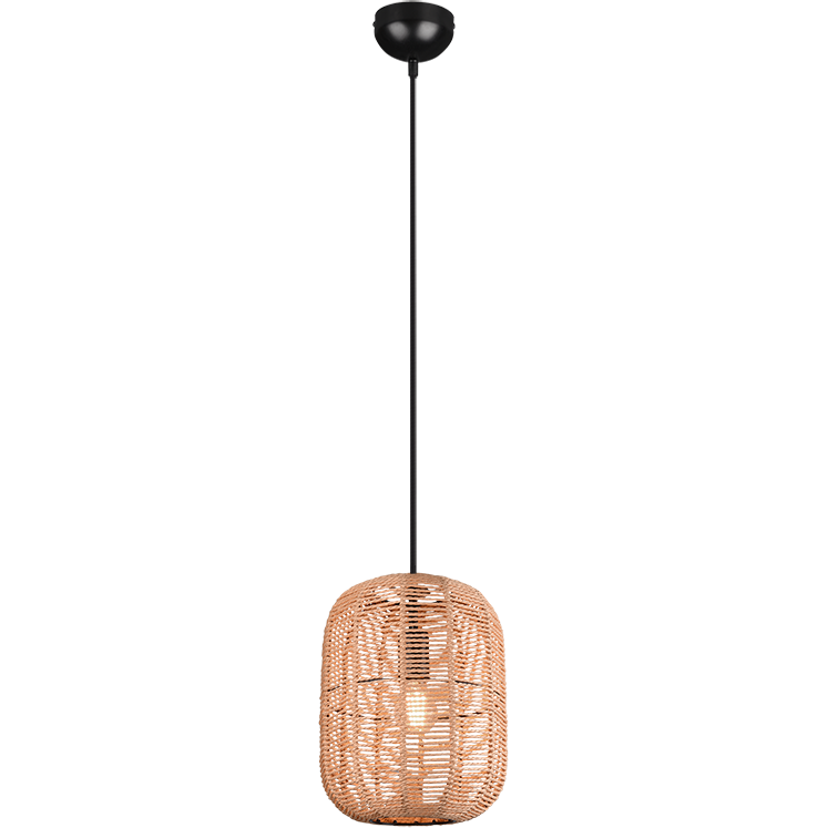 Runa 1-Light Pendant