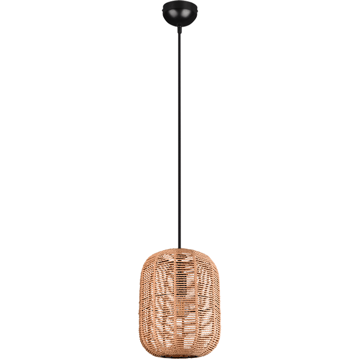 Runa 1-Light Pendant