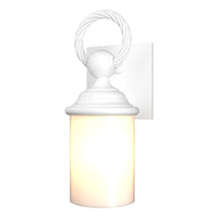 Cavo Outdoor Wall Sconce