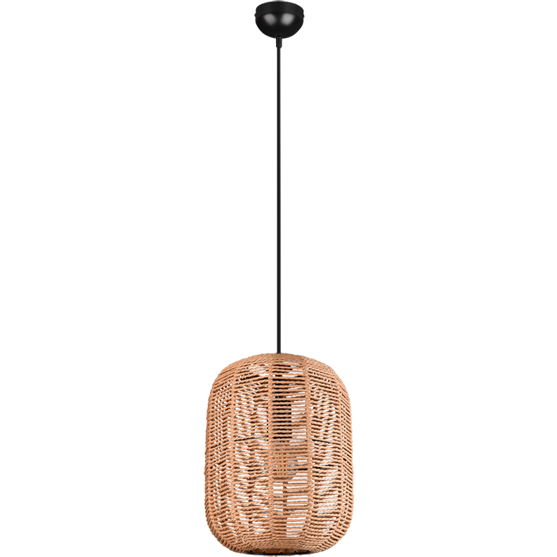 Runa 1-Light Pendant