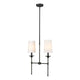 Z-Lite - Emily 2-Light Chandelier - Lights Canada
