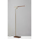 Barrett LED Floor Lamp