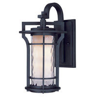 Oakville 1-Light Outdoor Wall Lantern
